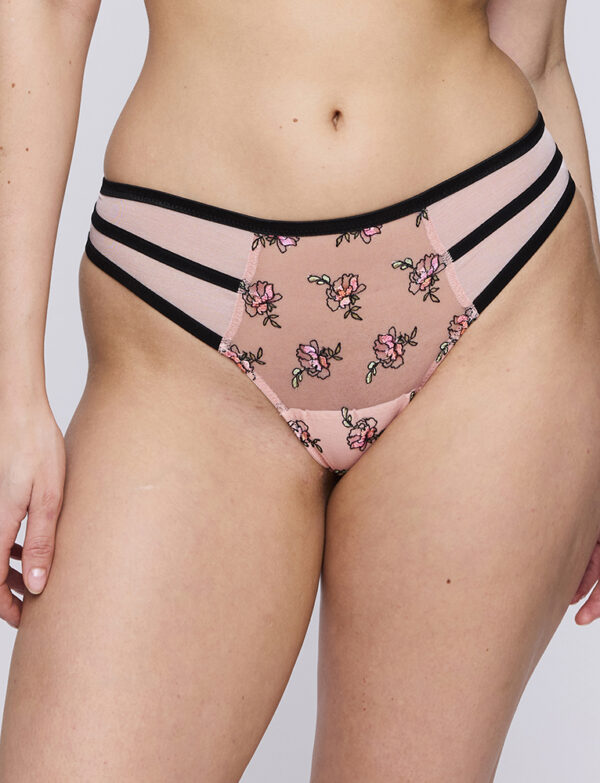 Eraclea string