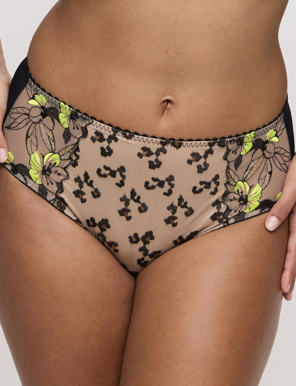 Manali full briefs