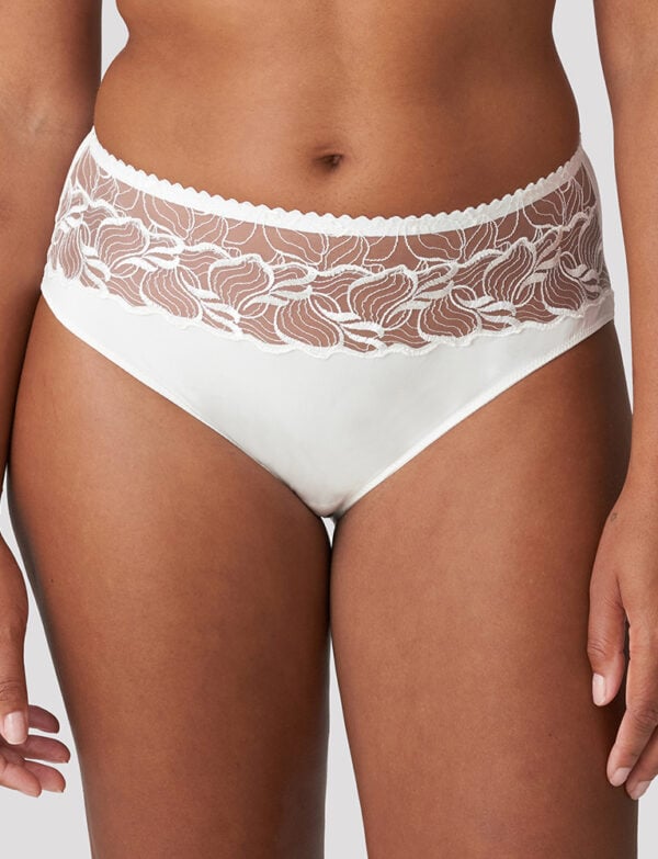 Springdale Full Briefs