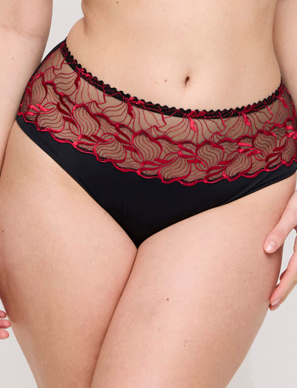 Springdale fullbriefs