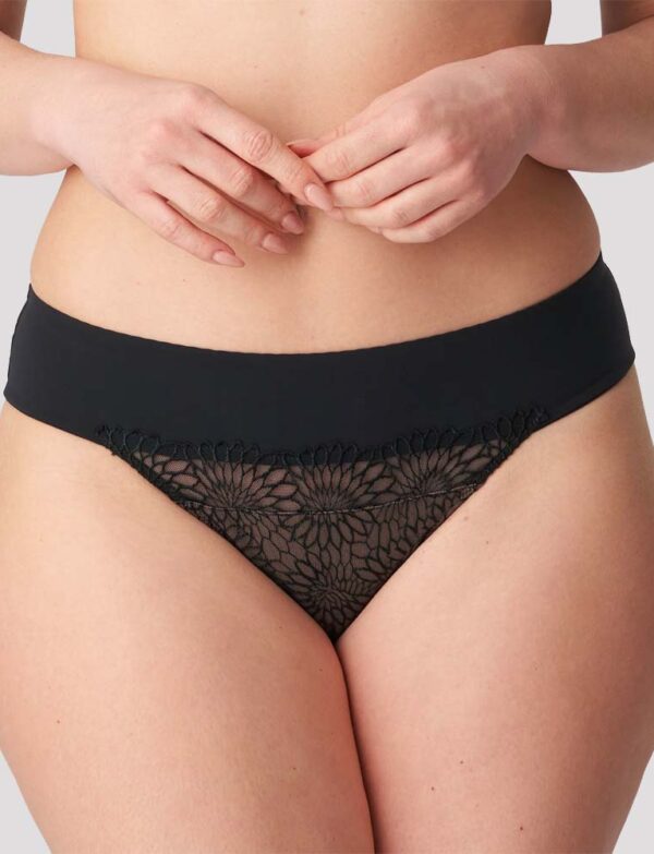 Sophora thong