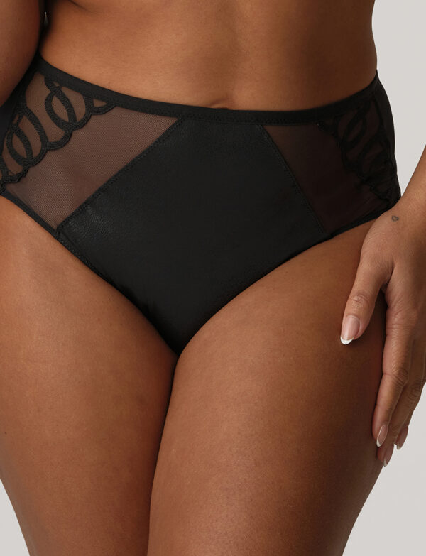 Vallarta full briefs